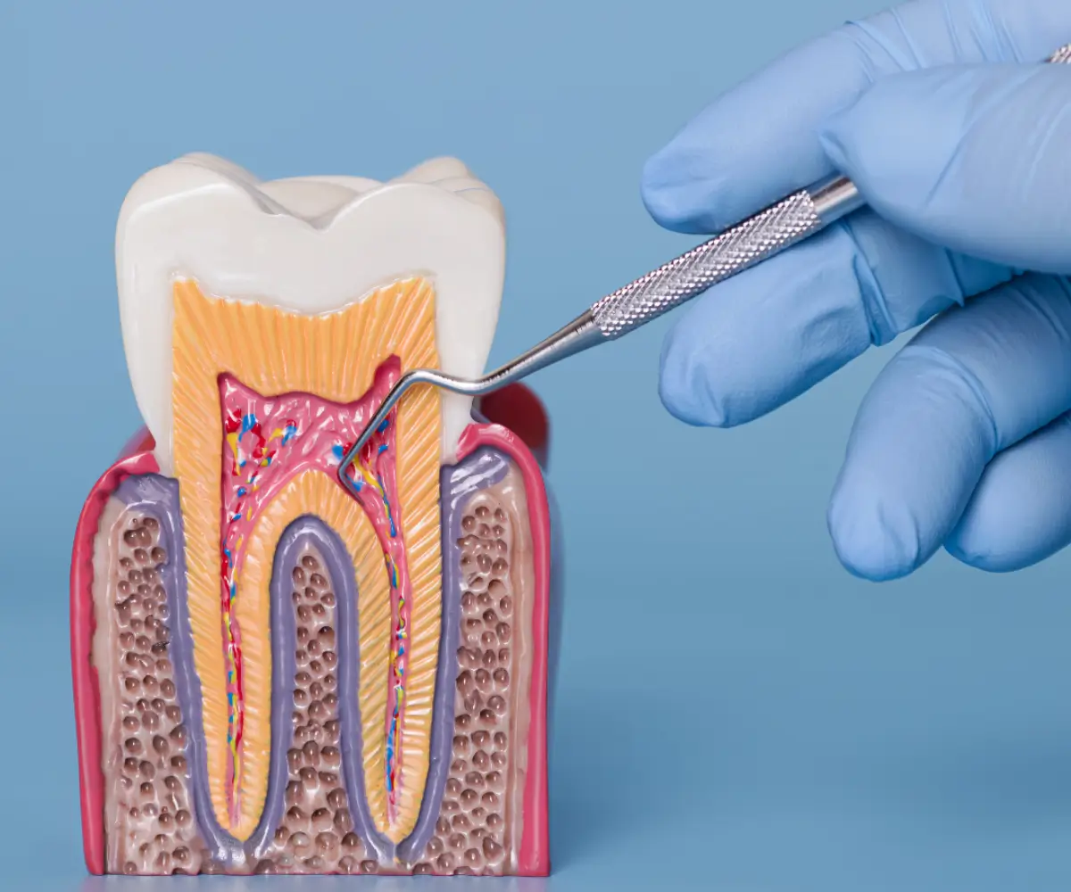 Lekcja 3 – Anatomia systemu kanałowego