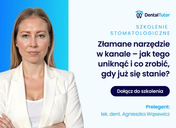 dt2711-agnieszka (1)